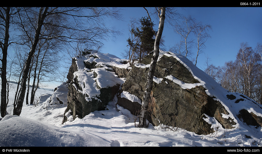 Hápova skála
0864-1-2011
Výrazný migmatitový skalní útvar vystupuje v severní části Žďárských vrchů u osady Františky. Jde o typický mrazový srub, vytvořený rozpadem hornin vlivem mrazového zvětrávání podél puklin a skloněných ploch břidličnatosti. Hápova skála je útvar vysoký 6-8,5 m a asi 80 m dlouhý. Chráněná krajinná oblast Žďárské vrchy.