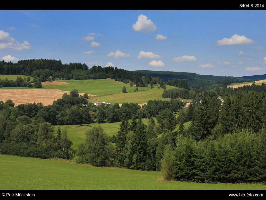 Údolí Svratky u Krásného je zařazeno mezi evropsky významné lokality (EVL) z důvodu ochrany populace modráska bahenního.
CHKO Žďárské vrchy, Natura 2000